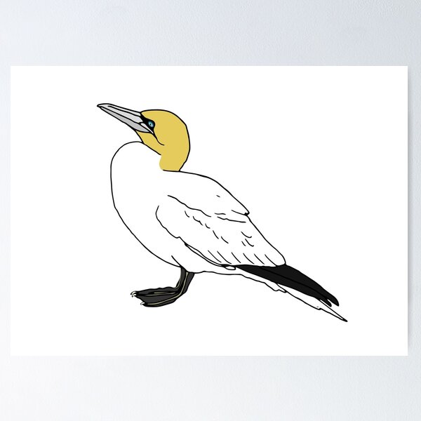 Item preview, Gannet standing designed and sold by stephaniepeters.