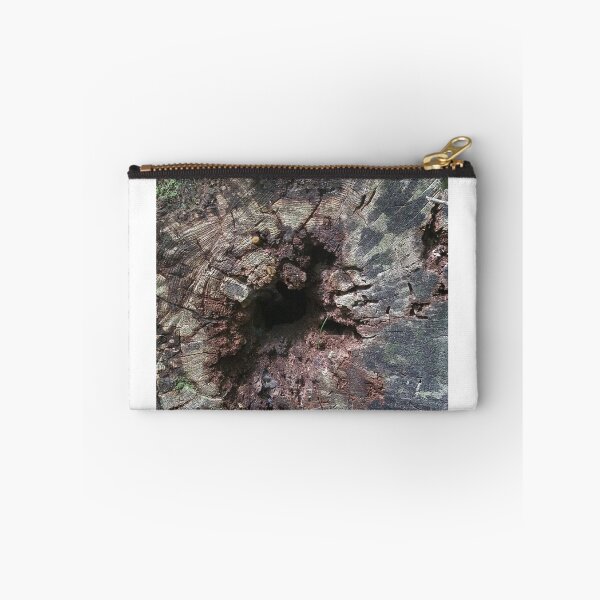 Item preview, Tree Fallen Over designed and sold by melzie3.