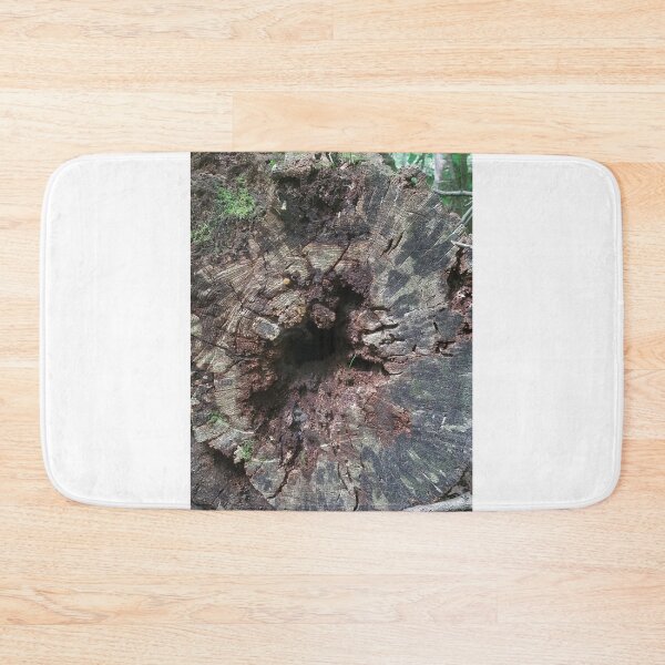 Item preview, Tree Fallen Over designed and sold by melzie3.