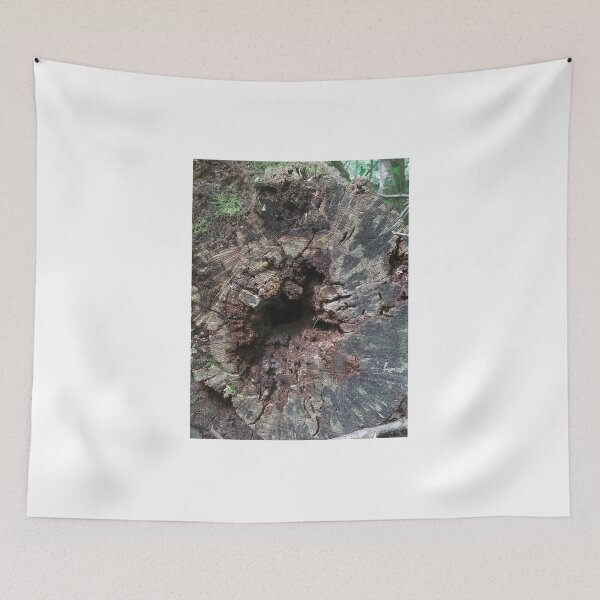 Item preview, Tree Fallen Over designed and sold by melzie3.