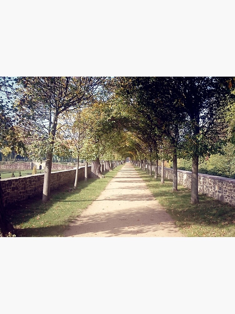 Park-Allee von Gourmetkater