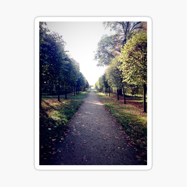 Allee im Park Sticker
