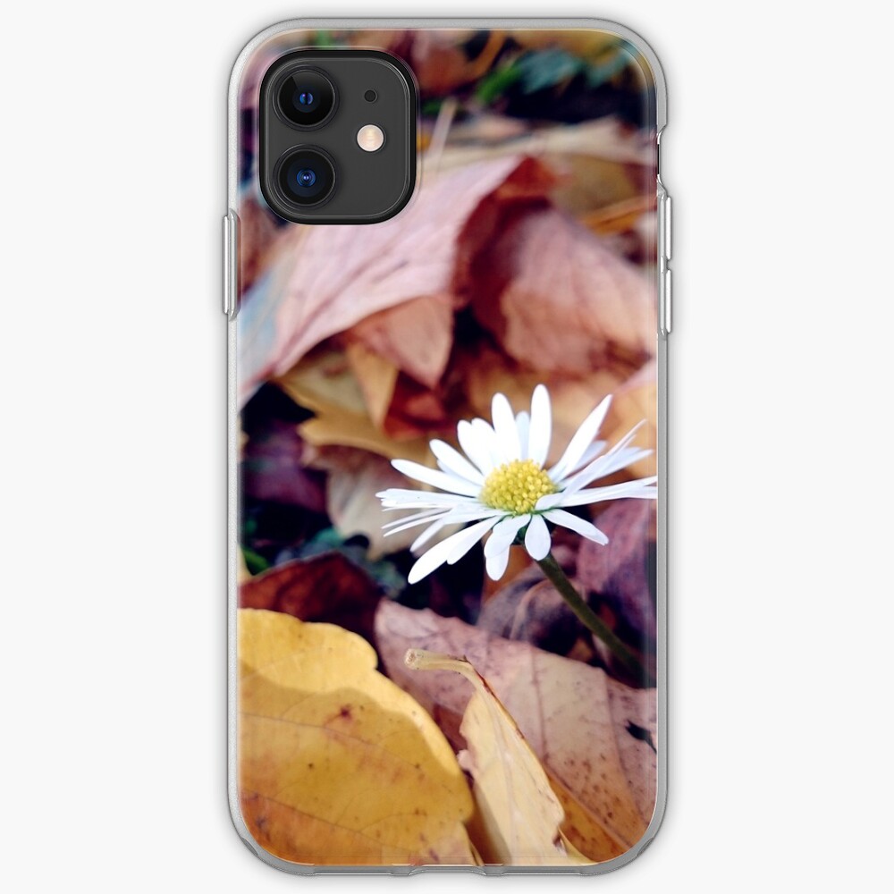 Gänseblümchen im Herbst iPhone-Hülle & Cover