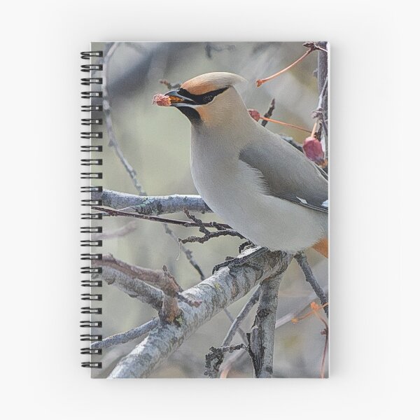Item preview, Bohemian waxwing feasting on berries designed and sold by CanadianWild418.