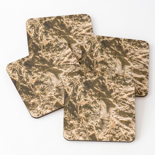 Item preview, Fossils designed and sold by srgreen.