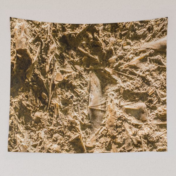 Item preview, Fossils designed and sold by srgreen.