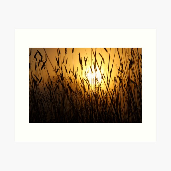 Item preview, ~ On Fire ~ designed and sold by LeeoPhotography.