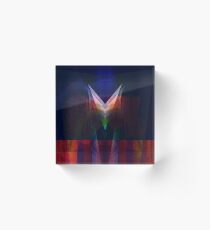 Shakti Acrylic Block