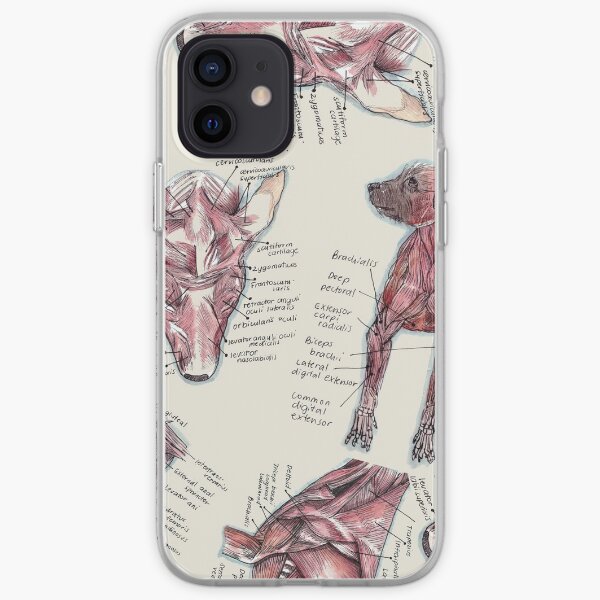 Canine Anatomy Muscle iPhone Soft Case