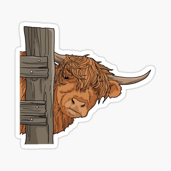 Highland cow Sticker - Stickers - Cute - kawaii Decal cut