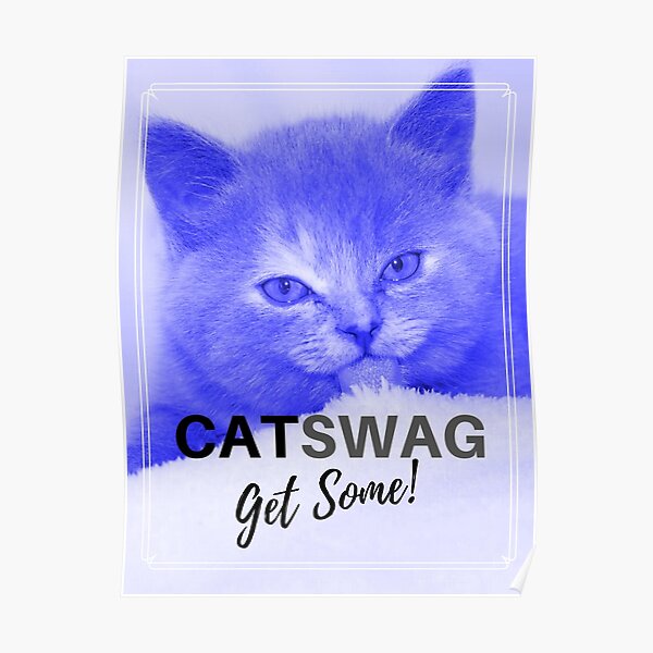 "CAT SWAG Get Some Indigo Blue Purple Design Collection 006" Poster by