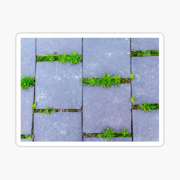 The Green In Between Sticker