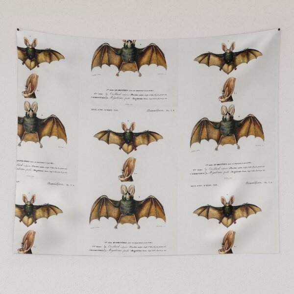 Artikelvorschau, Bats vintage illustration entworfen und verkauft von Vintage Designs +.
