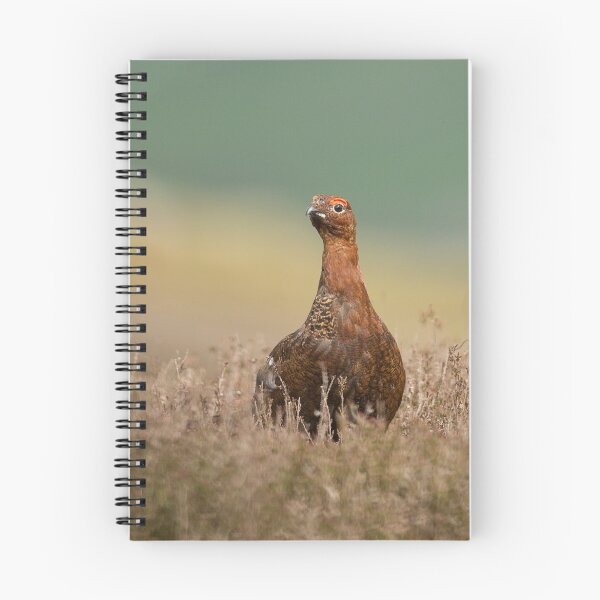 Item preview, Pompous Grouse designed and sold by Penny Dixie.