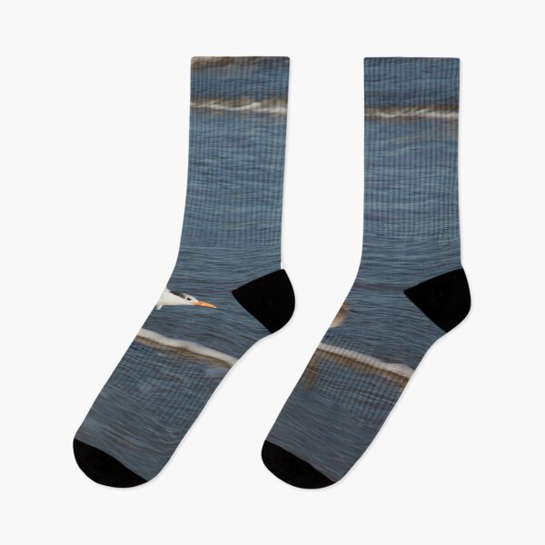 Item preview, Seagull over the Surf designed and sold by Allen Penton.
