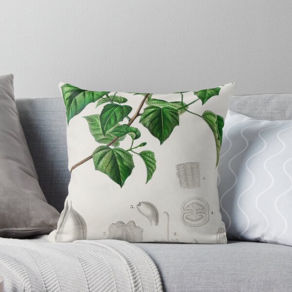 Artikelvorschau,  Botanical vintage illustration  entworfen und verkauft von Vintage Designs +.