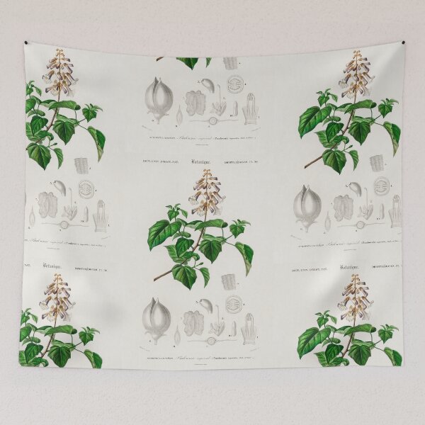 Aperçu de l'œuvre Botanical vintage illustration créée et vendue par Vintage Designs +.