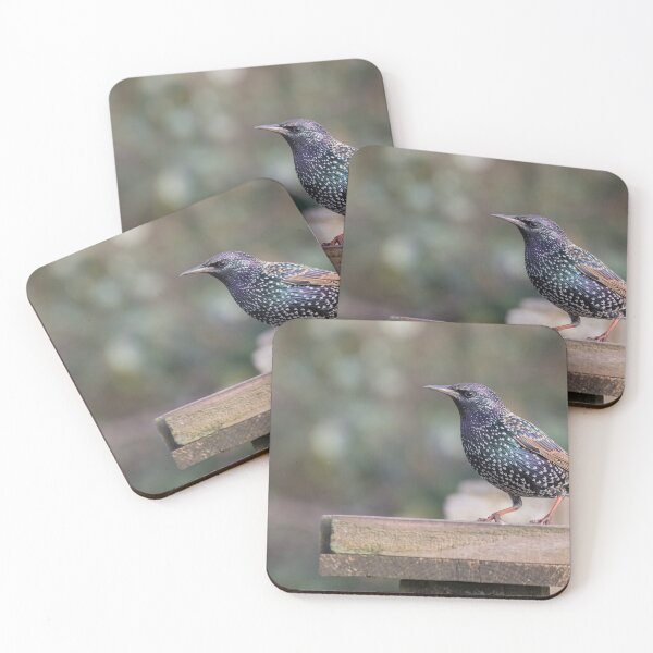 Item preview, Starling designed and sold by LaurenTucker.