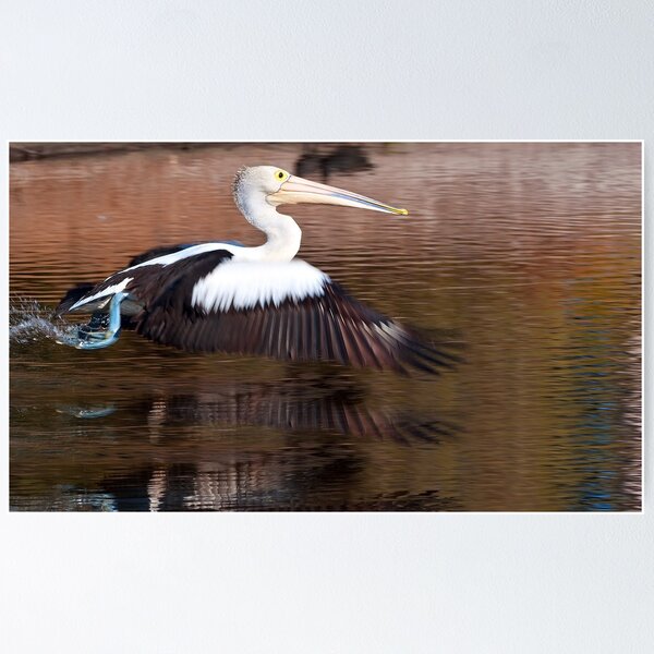 Item preview, "Taking Off" designed and sold by Heather Thorning.