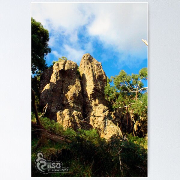 Item preview, rock in bush  designed and sold by Niisophotos.