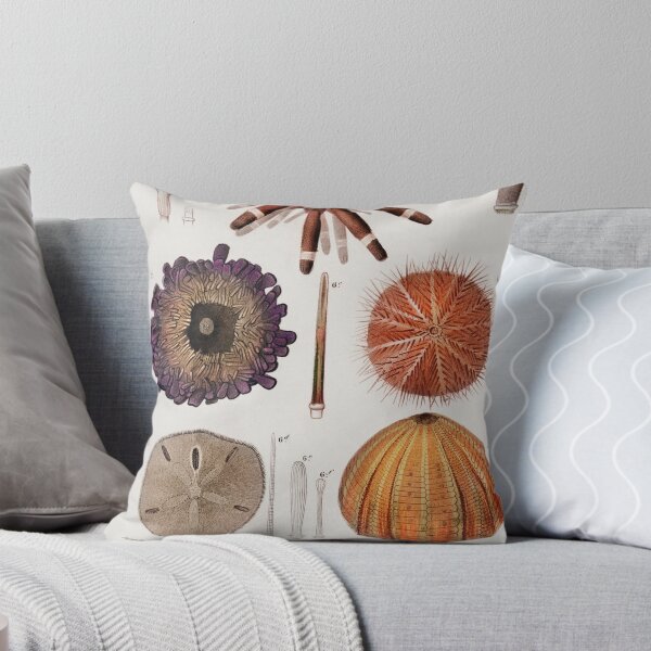 Item preview, Anemone coral Botanical vintage illustration designed and sold by Vintage Designs +.
