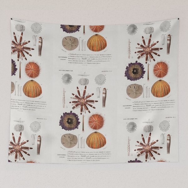 Item preview,  Anemone coral Botanical vintage illustration  designed and sold by Vintage Designs +.