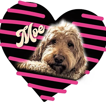 Artwork thumbnail, Moe socks by Rachael-Rector