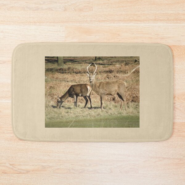 Item preview, Male Red Deer Guarding His Female Photograph designed and sold by naturegallery.