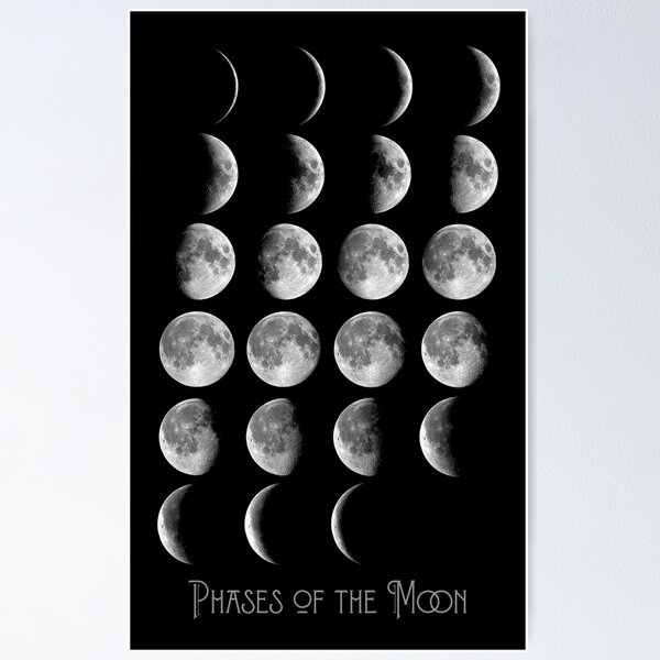 Night Sky, Astronomy Chart, Phases of the Moon Poster for Sale by  Glimmersmith