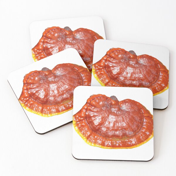 Item preview, Reishi "Ganoderma lucidum" designed and sold by Fruitsome.