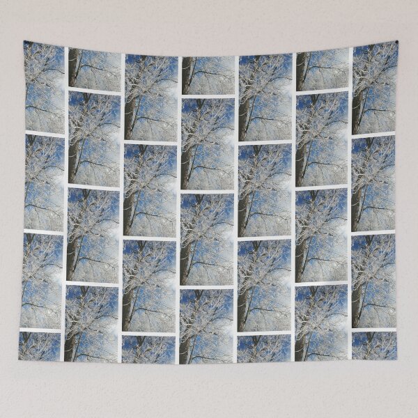 Item preview, Ice Covered Tree, Nature Photography by Courtney Hatcher designed and sold by cghatcherart.