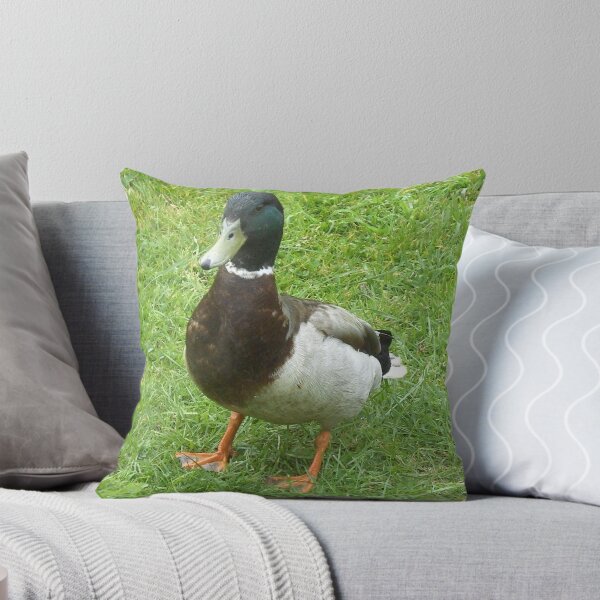 Item preview, Proud Mallard Male designed and sold by anaisnais.