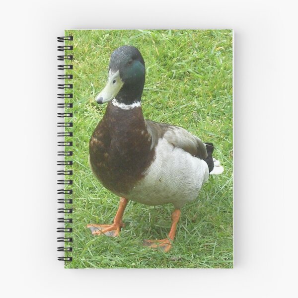 Item preview, Proud Mallard Male designed and sold by anaisnais.