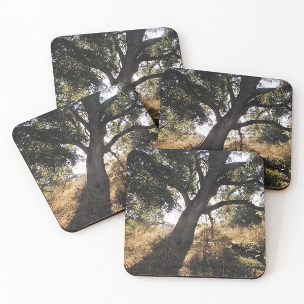 Item preview, Black Star Oak Tree designed and sold by Robert Ball.