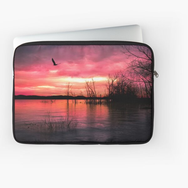 Eagle over Sacandaga Lake 9698 Laptop Sleeve