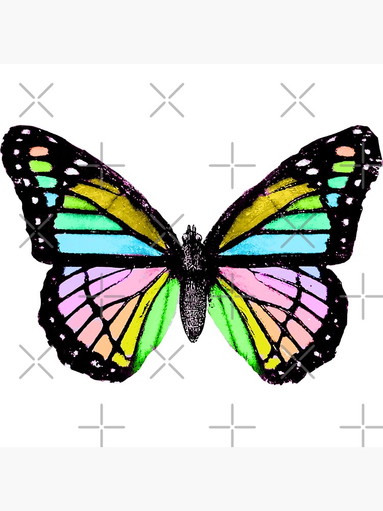 Social Butterfly Leggings Rainbow Butterflies Womens Butterfly