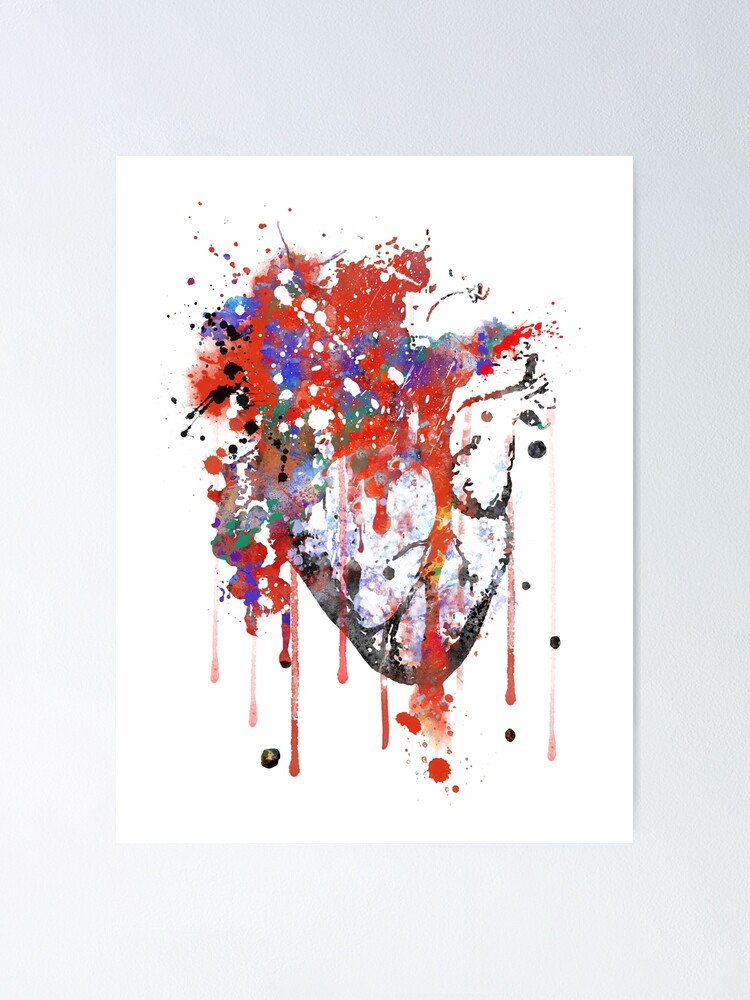 Heart Anatomy, Medical Art, Watercolor Heart" Poster By Rosaliartbook | Redbubble