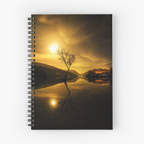 Item preview, Moonrise of the famous tree at Padarn Lake near Snowdon designed and sold by DafyddEm.