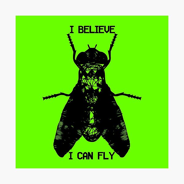I Believe I Can Fly Photographic Print