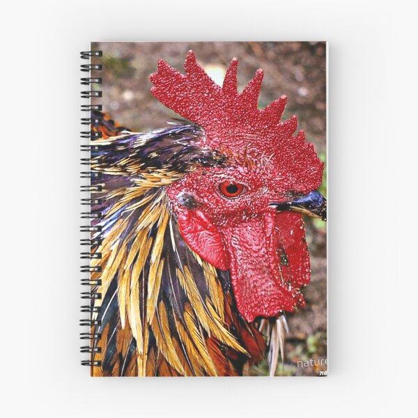Item preview, Real Cool Rooster designed and sold by naturelover.