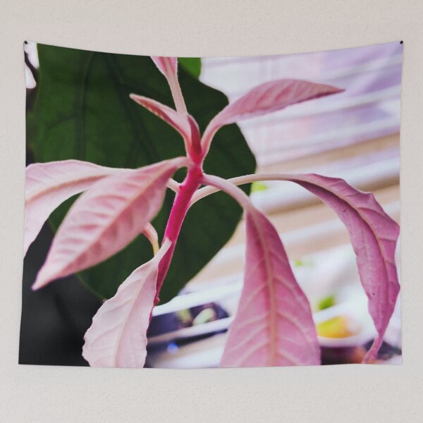 Item preview, Pink Avocado Tree designed and sold by Asiantiger247.
