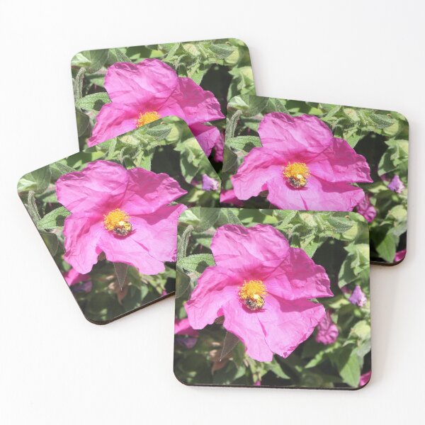 Item preview, Rosa rugosa  designed and sold by pinkal.