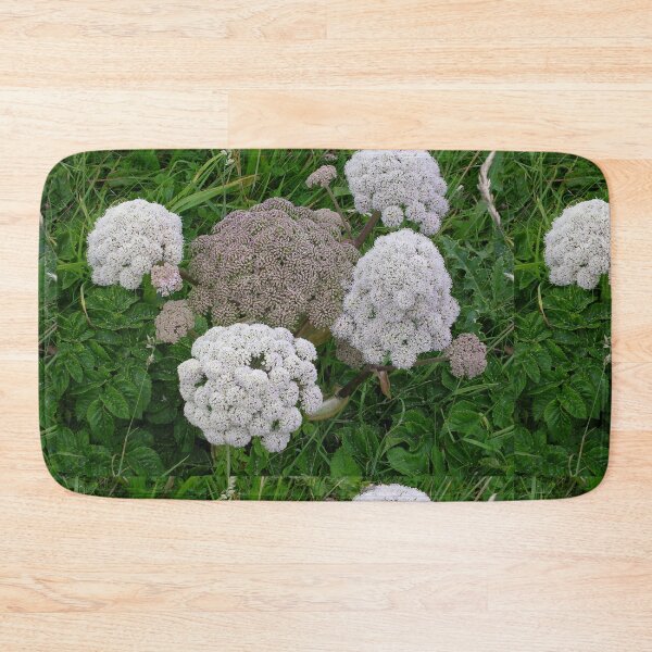 Item preview, Wild Coastal Flowers - Angelica sylvestris designed and sold by lezvee.