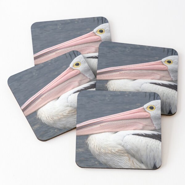 Item preview, Pelican Portrait 1 designed and sold by Rainphotography.
