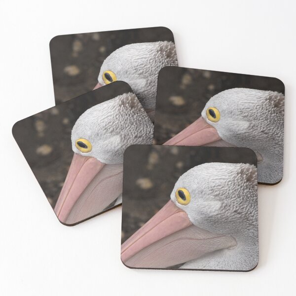 Item preview, Pelican Portrait  designed and sold by Rainphotography.