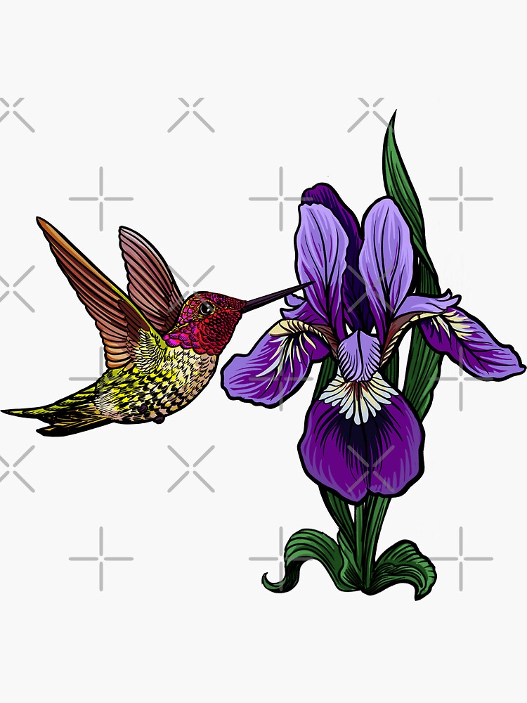 Thumbnail 3 of 3, Sticker, hummingbird and iris designed and sold by HollyPierson.