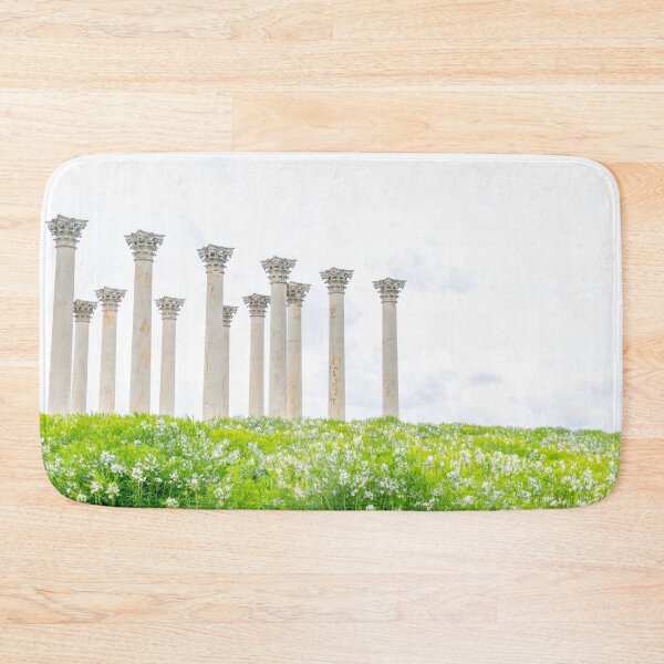 Item preview, Capitol Columns designed and sold by Alex Tonetti Photography.