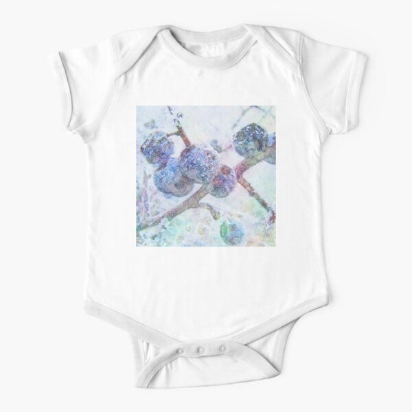 Vibrant Frost 1 Short Sleeve Baby One-Piece