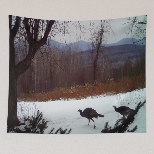 Item preview, Turkeys designed and sold by BellsPainting.