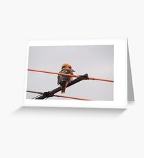 Wood-packer Greeting Card